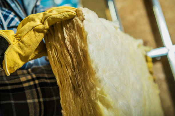 Best Specialized Insulation Services in Lakeland, TN